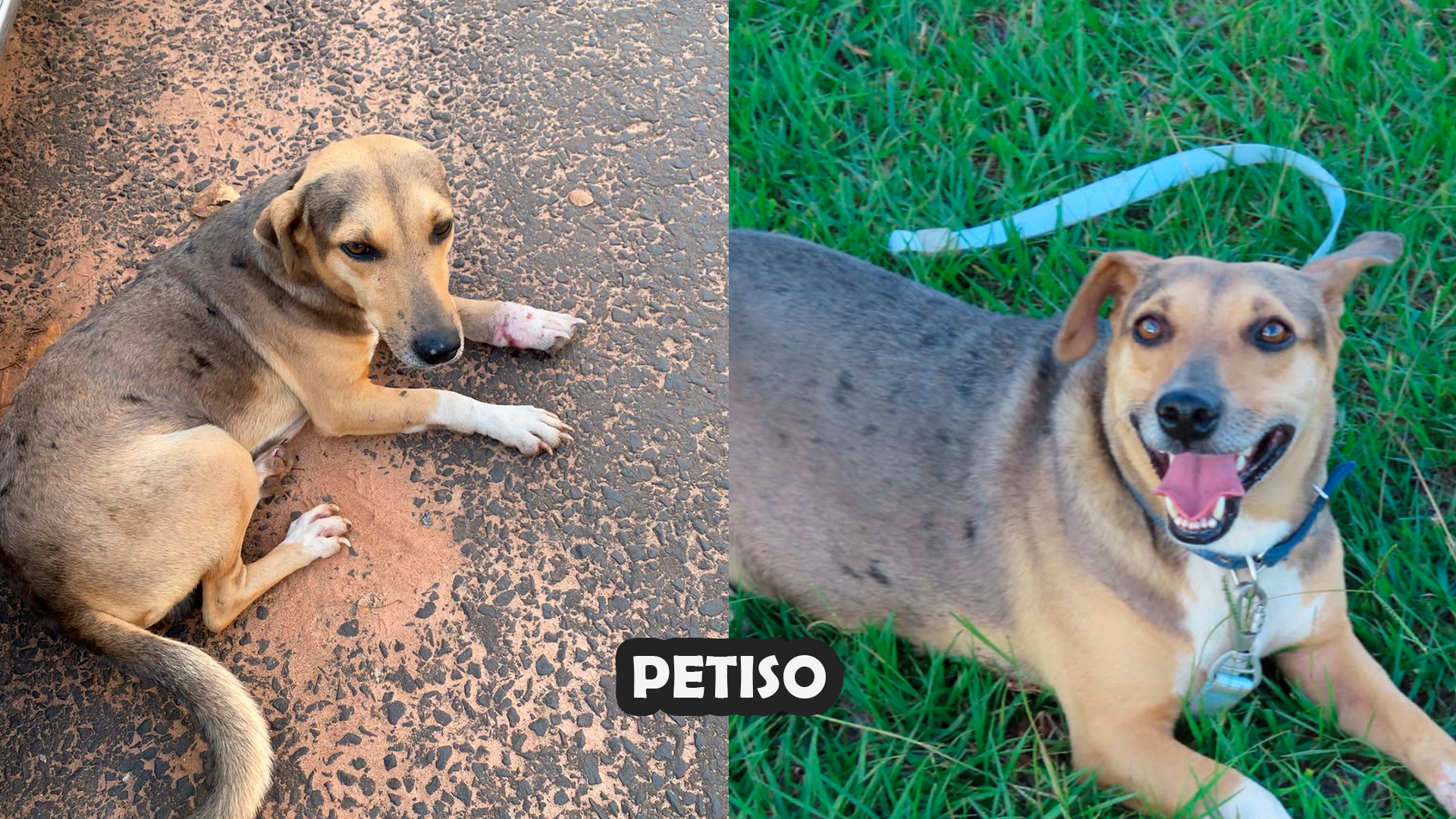 Antes y después