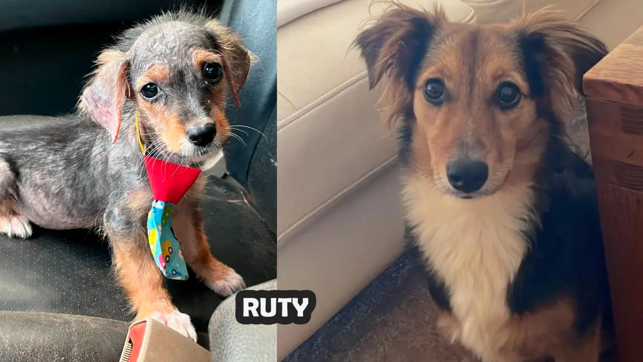 Antes y después
