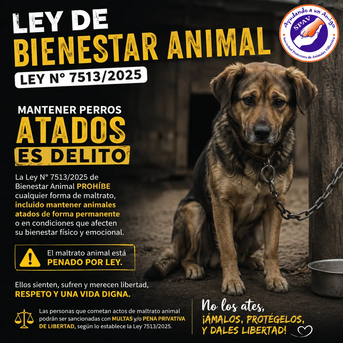 Participación Comunitaria